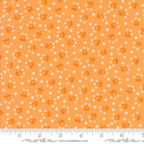 an orange background with small white flowers