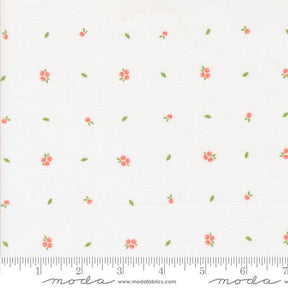 a white background with pink flowers and green leaves