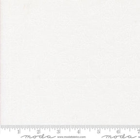 a ruler is shown with a white background