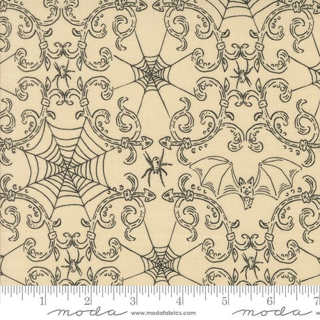 a drawing of a spider web on a beige background
