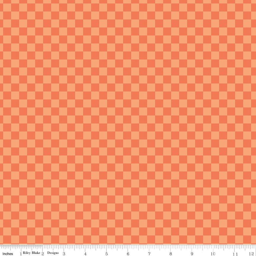 Hey Pumpkin Checks Orange Yardage C16036-Orange by My Mind's Eye for Riley Blake Designs Sold in 1/2 yard increments