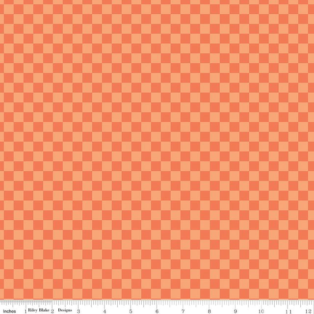Hey Pumpkin Checks Orange Yardage C16036-Orange by My Mind's Eye for Riley Blake Designs Sold in 1/2 yard increments