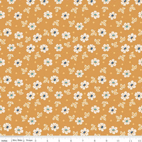 an orange background with white and blue flowers