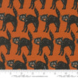 an orange background with black cats on it