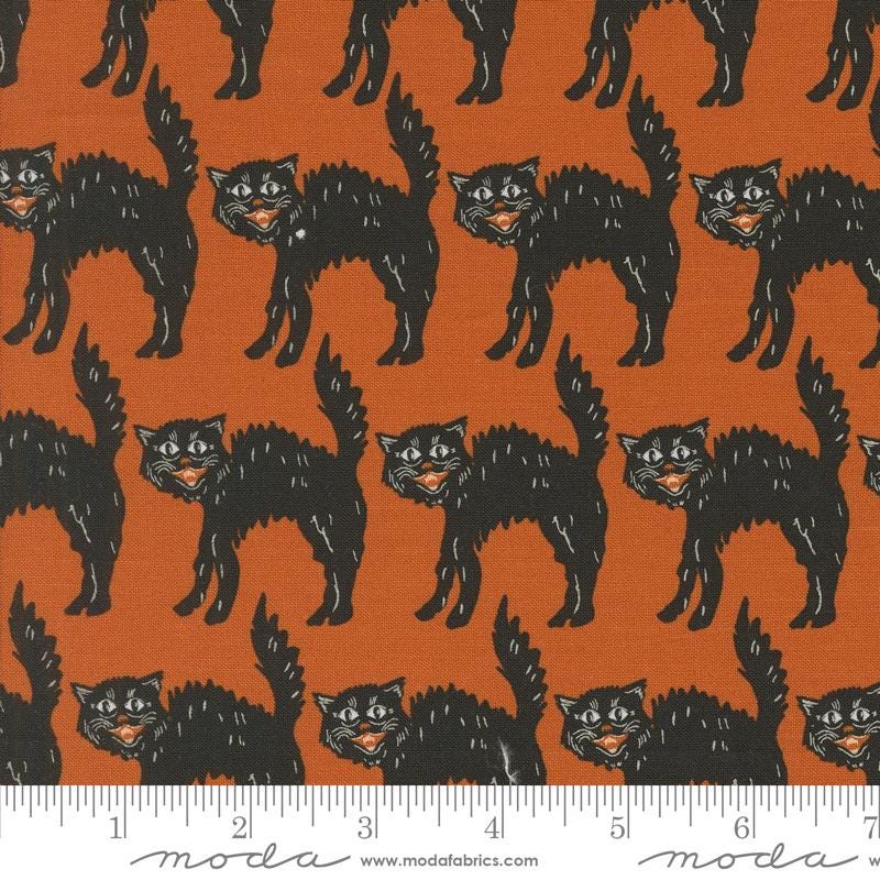 an orange background with black cats on it