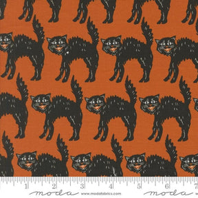 an orange background with black cats on it
