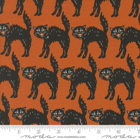 an orange background with black cats on it