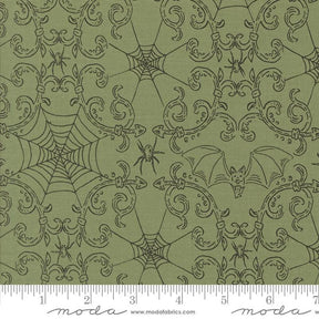 a green background with spider webs and spider webs