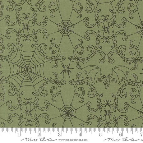 a green background with spider webs and spider webs