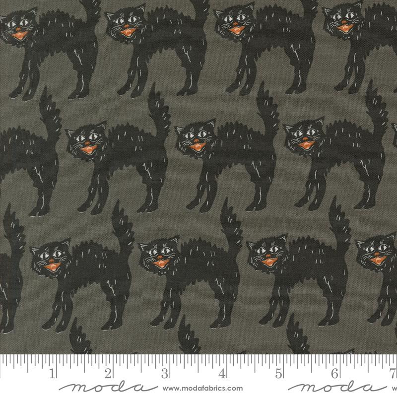 a picture of a black cat on a gray background