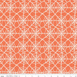 Hey Pumpkin Web Orange Yardage C16033-Orange by My Mind's Eye for Riley Blake Designs Sold in 1/2 yard increments
