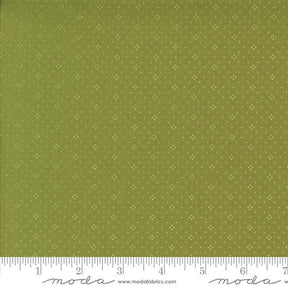 a ruler with a green background with white dots