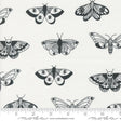 Noir Mystic Ghost Yardage 11543-21 by Alli K Design Sold in 1/2 yard increments