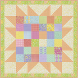 Barn Star 10 Quilt Pattern by Coriander Quilts CQ228 Bin MP