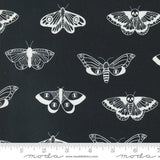 Noir Mystic Moth Ghost Yardage 11543-23 by Alli K Design Sold in 1/2 yard increments