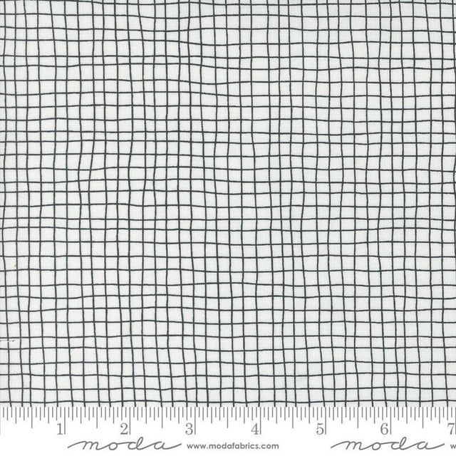 Noir Mummy Wrap Ghost Yardage 11547-11 by Alli K Design Sold in 1/2 yard increments