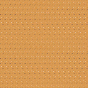 a repeating pattern of small white dots on a light orange background.