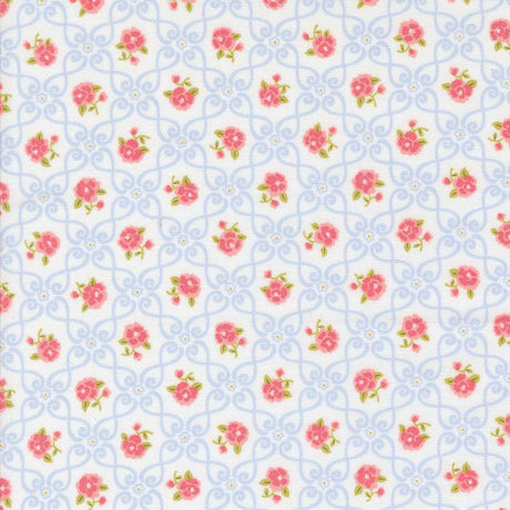 a repeating pattern of pink flowers on a light blue background with a white border.