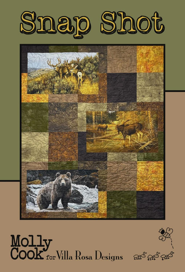 Snap Shot Quilt Pattern Card by Molly Cook for Villa Rosa Designs finished size 45" x 54"