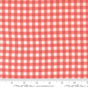 The image is a close-up of a fabric with a red and white checkered pattern.