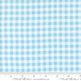 The image is a close-up of a fabric with a blue and white checkered pattern.