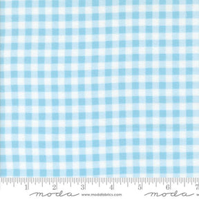 The image is a close-up of a fabric with a blue and white checkered pattern.