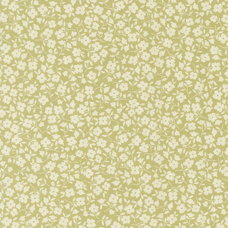 a repeating pattern of small white flowers on a light green background.