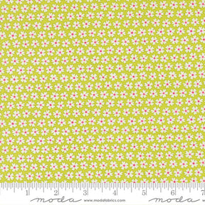 a repeating pattern of small white flowers on a yellow background.