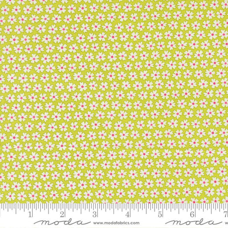 a repeating pattern of small white flowers on a yellow background.