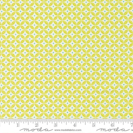 a repeating pattern of yellow and white circles on a white background.
