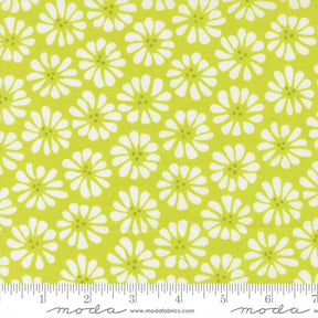 a repeating pattern of white flowers against a bright yellow background.