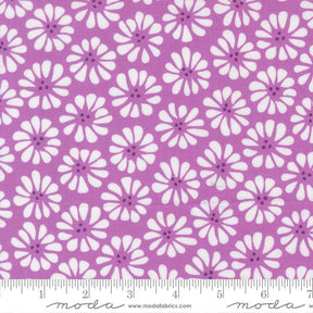 a repeating pattern of white flowers on a purple background.