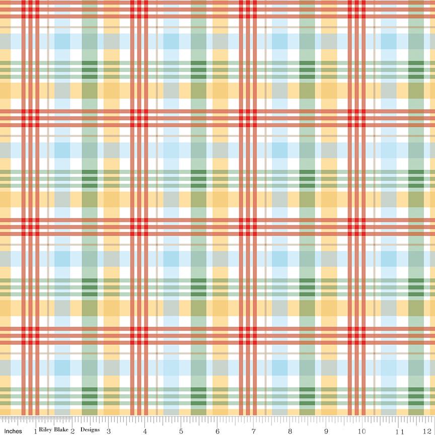 Winnie the Pooh Plaid Multi Yardage C17005-Multi by Echo Park Paper Co. For Riley Blake Sold in 1/2 yard Increments