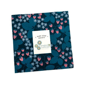 Reimagined Landscapes Layer Cake RS6049LC by Jen Hewett of Ruby Star Society
