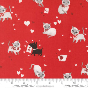 a red background with white cats and a black dog, along with hearts and a scale ruler.