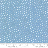 a fabric with a light blue background and white heart-shaped patterns scattered across it. The fabric appears to be a textile or material with a heart-shaped design.