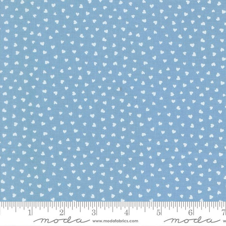 a fabric with a light blue background and white heart-shaped patterns scattered across it. The fabric appears to be a textile or material with a heart-shaped design.