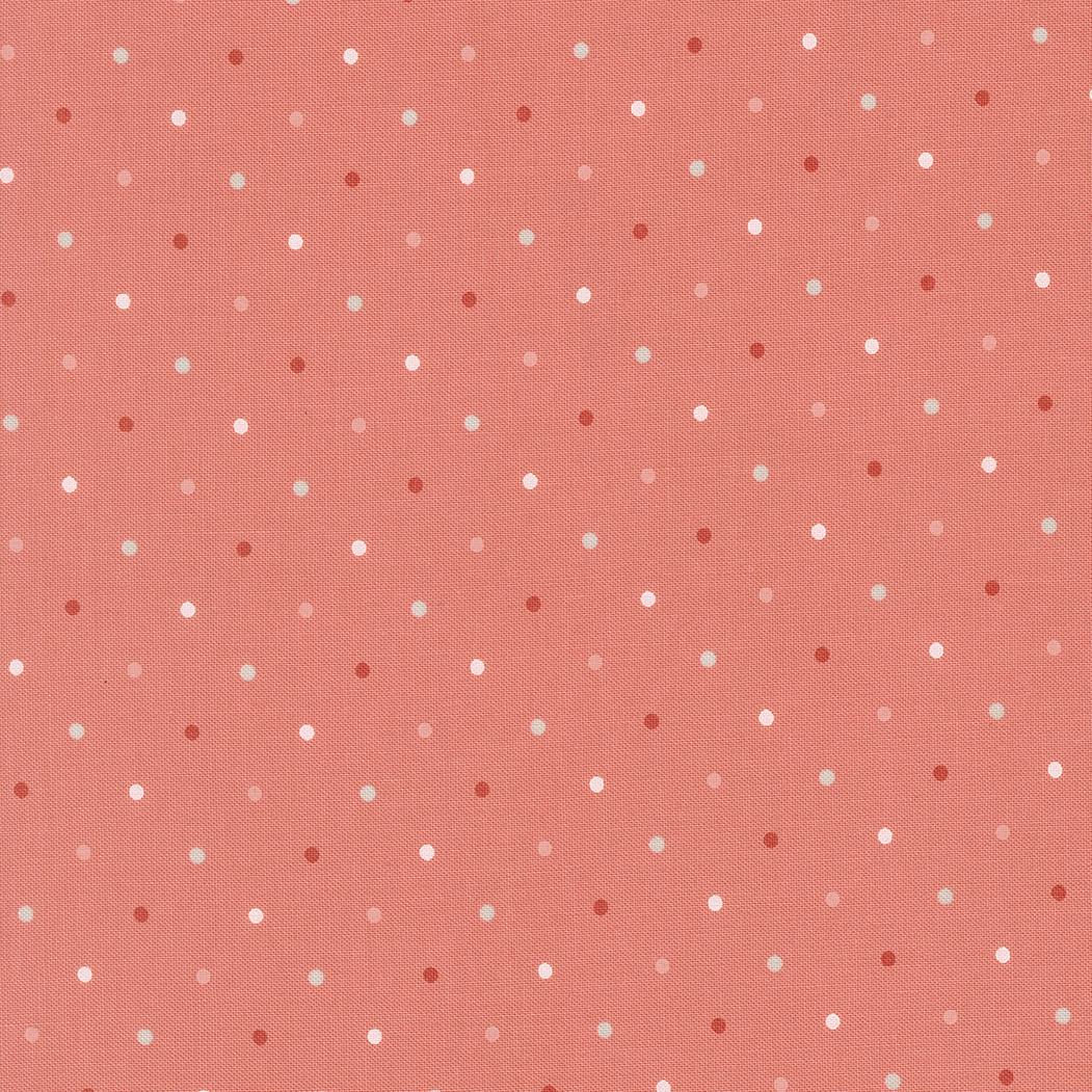 a pattern of small white dots on a reddish-brown background.