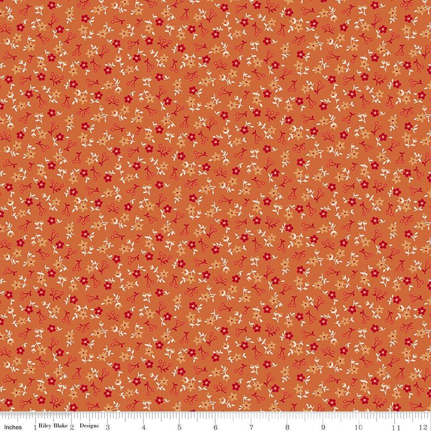 Farmers Daughter Blossom Squash C17164-Squash by Lori Holt for Riley Blake Sold in 1/2 yard increments