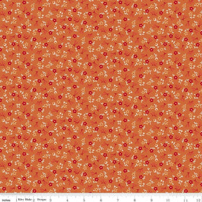 Farmers Daughter Blossom Squash C17164-Squash by Lori Holt for Riley Blake Sold in 1/2 yard increments