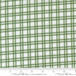 a close-up view of a fabric with a green and white checkered pattern. The fabric appears to be made of a material with a grid-like texture, which creates a visually appealing and textured appearance.