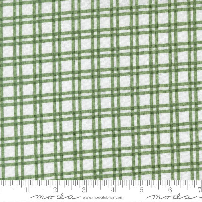 a close-up view of a fabric with a green and white checkered pattern. The fabric appears to be made of a material with a grid-like texture, which creates a visually appealing and textured appearance.