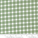 a close-up view of a fabric with a green and white checkered pattern. The fabric appears to be made of a material with a grid-like texture, which creates a visually appealing and textured appearance.