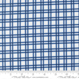 a close-up view of a fabric with a blue and white checkered pattern. The fabric appears to be made of a material with a grid-like texture, which creates a visually appealing and textured appearance.