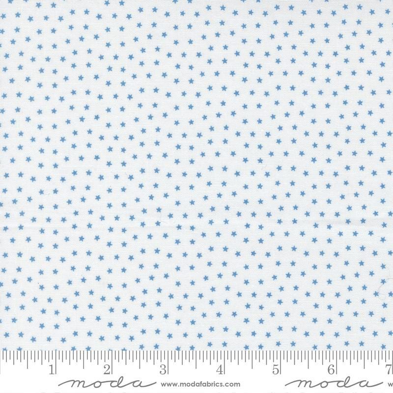 The image is a fabric with a blue star pattern, and it is described as a fabric with blue stars.
