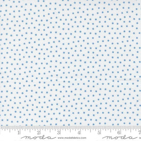 The image is a fabric with a blue star pattern, and it is described as a fabric with blue stars.