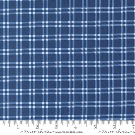 a close-up view of a fabric with a blue and white checkered pattern. The fabric appears to be made of a material with a grid-like texture, which creates a visually appealing and textured appearance.