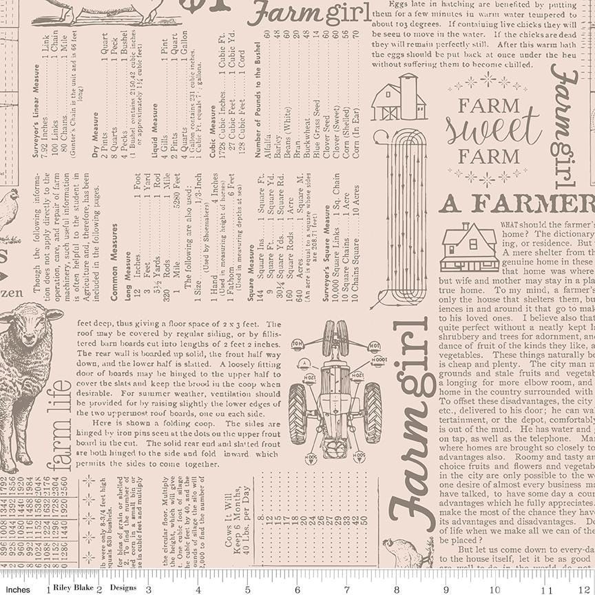 Farmers Daughter Background Rustic Farm Life C17190-Rustic by Lori Holt for Riley Blake Sold in 1/2 yard increments