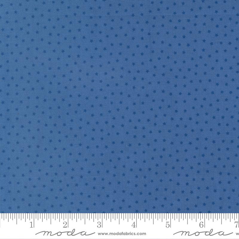 The image is a close-up of a fabric with a blue star pattern.