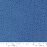The image is a close-up of a fabric with a blue star pattern.